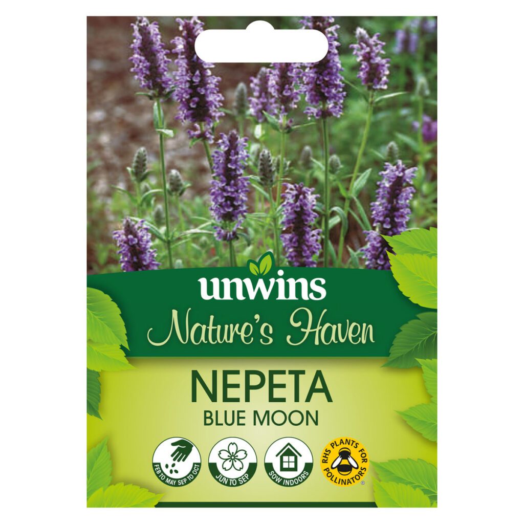 Nature’s Haven Nepeta Blue Moon Seeds 5051618035903 2